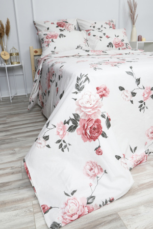 a4b3e18b-ce6f-43e5-95bb-27a57e2f723a